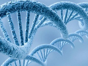 Türk bilim adamları, kanser ilacının patentini aldı