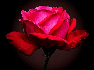 Resulullah (asm) neden sakın yollara oturmayın dedi