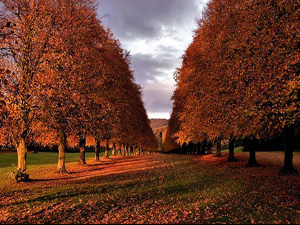 Bediüzzaman ve talebelerinden istiğna modeli