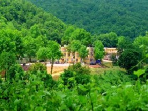 Gönen Kaplıcaları Tescillendi