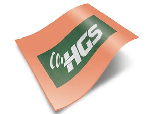 Geçmediği gişelerden ‘geçiş yapılmış’ gibi HGS bakiyesi düştü