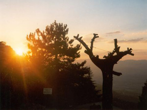 Said, konuşunca Bediüzzamanlaşır