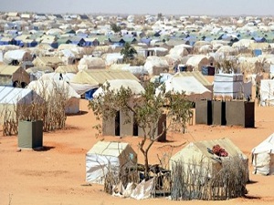 Avusturya, Mali'ye 1 milyon 250 bin avro insani yardımda bulunacak