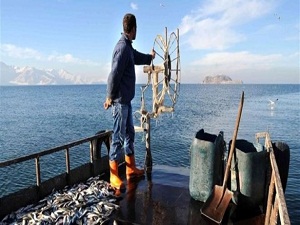 Kış onlar için 'bereket' demek