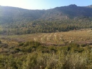 Elektrik Güneş Tarlasında Üretilecek