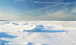 Altından öyle bir şey çıktı ki...