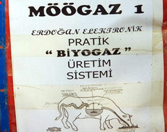 Hayvan gübresinden ‘Möögaz’ üretti