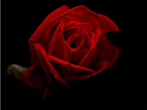 Beni ağırlamayana ben ne yapayım ya Resulallah