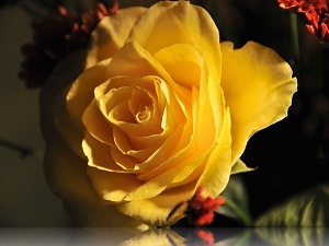 Kişi kendisini halktan büyük görüp uzak tuta tuta