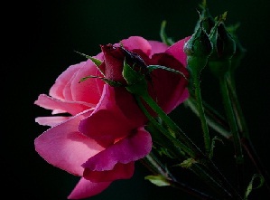 Resulullaha Allah kaç vakit namazı farz kıldı diye sordu