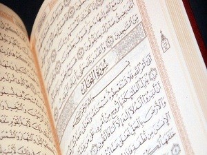 Bunu dediklerinde kalplerine kuvvet vermiştik