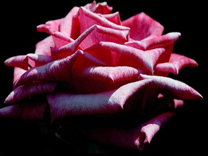 Şaka da bile olsa ben sadece hakkı söylerim