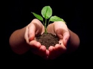 Her çocuk için bir fidan dikecekler