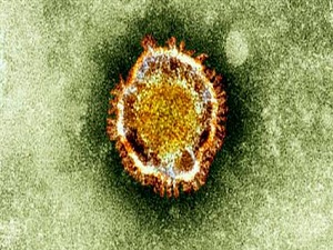 Dünyada 'corona' alarmı