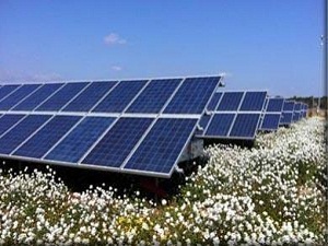 Güneş tarlalarına ekim başladı