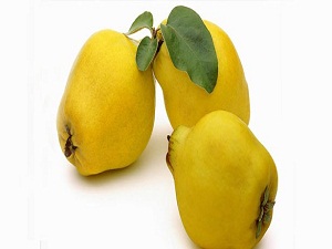 Öksürüğe karşı ayva yiyin