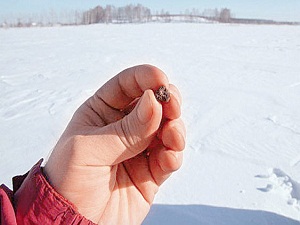 Sahibinden gramı 80 dolara gök taşı