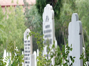 Diyanet: Mezarlıktaki ağaç ve otları kesmek mekruhtur