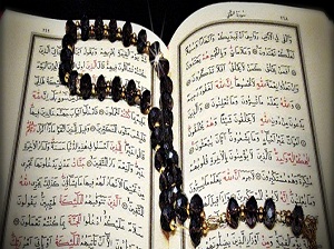 Dünya hayatı, gökten indirdiğimiz yağmur gibidir