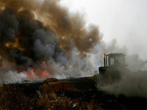 İsrail binlerce dönümlük buğdayı imha etti