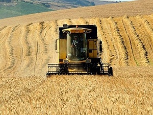 TMO, çiftçilerin ürünlerini randevuyla alacak