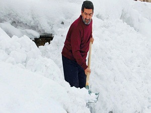 Cemre Bitlis'e uğramadı!