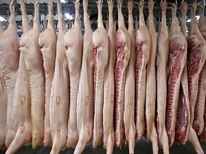 Pide salonunda at veya eşek eti çıktı