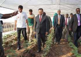 Somalililer Türkiyede Eğitilecek