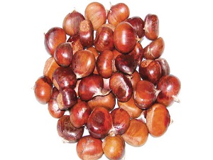 Alzheimera karşı: Kestane