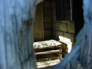 Soğuk, Üstad'dan utanıyordu