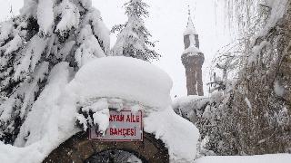 Bitlis kara gömüldü