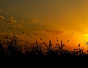 Namaza kalkın, Allah sizi tertemiz yapmak istiyor