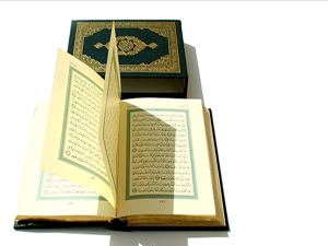 Kur'an'da her türlü misali değişik şekillerde açıkladık