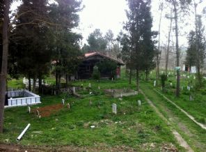 Tahta çivilerle yapılan bin yıllık ahşap camii ilgi görüyor