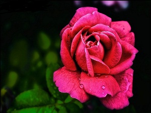 Resulullah, nereden biliyorsun cennetlik diye sordu