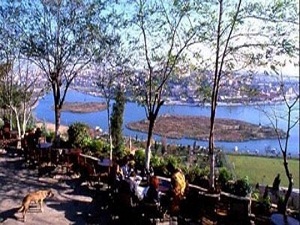 Mesire yerleri 29 yıla kadar kiraya verilebilecek
