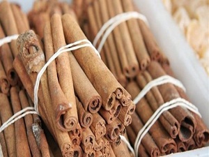 Yağ yaktıran tarçın