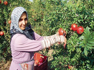 Türk narına ABD’den yeşil ışık