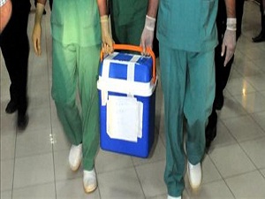 Böbrek nakli sonrası önemli