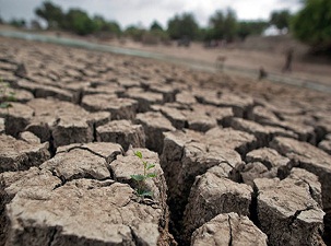 Çin'de kuraklık 4 milyon kişiyi tehdit ediyor