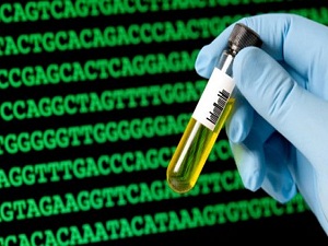 Türkiye'nin genetik kılavuzu çıkacak