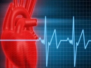 Dünyada her yıl 17,1 milyon insan ölüyor