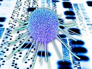 Kanser taramalarında Bursa’nın başarısı