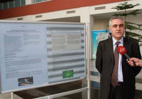 Isırgan Otu Artık Yakmayıp Isıtacak