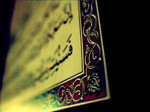 Dünya hayatındaki çabaları kaybolanları haber verelim mi?