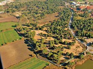 Tarım arazilerinin devrinde tek mirasçı sistemi