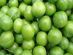 Erik üreticileri sezonu mutlu kapattı