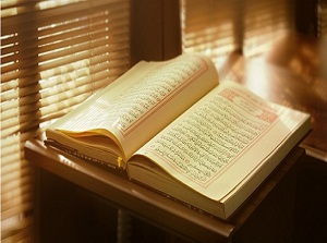 Kim Rabbine kavuşmayı umuyorsa yararlı bir iş yapsın