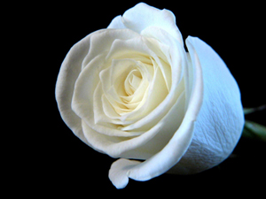 Ey Hafsa! Sen Allah'ın buyurduğunu işitmedin mi?