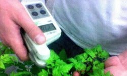 Gübrede nano teknoloji devrimi